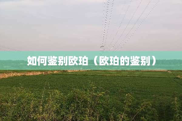 如何鉴别欧珀（欧珀的鉴别）