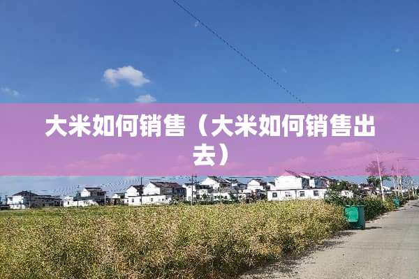 大米如何销售（大米如何销售出去）
