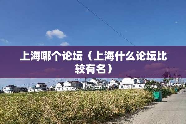 上海哪个论坛（上海什么论坛比较有名）