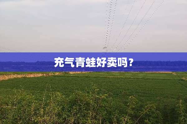 充气青蛙好卖吗？