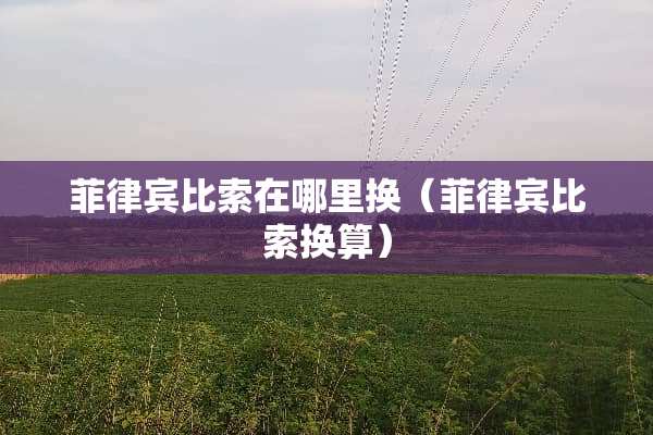 菲律宾比索在哪里换（菲律宾比索换算）