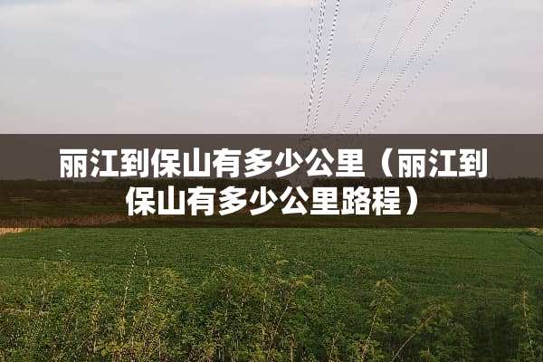 丽江到保山有多少公里（丽江到保山有多少公里路程）