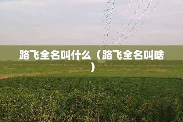 路飞全名叫什么（路飞全名叫啥）