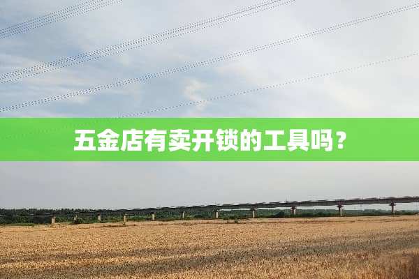 五金店有卖**的工具吗？