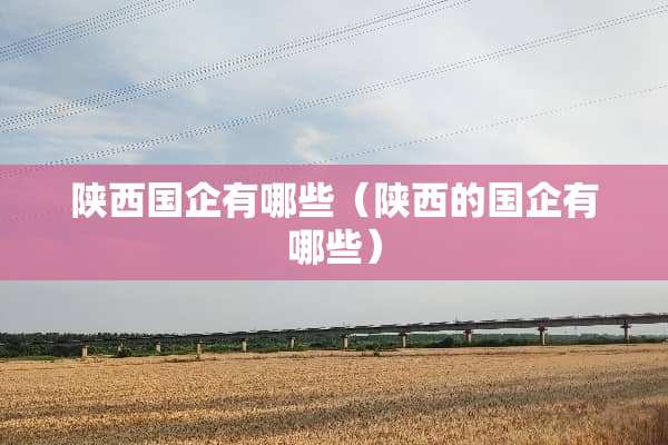 陕西国企有哪些（陕西的国企有哪些）