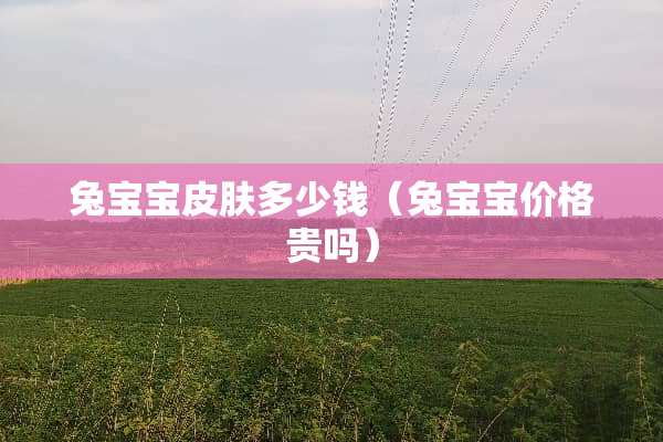 兔宝宝皮肤多少钱（兔宝宝价格贵吗）