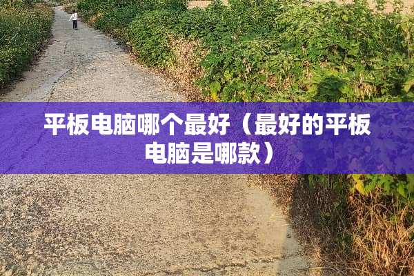 平板电脑哪个最好（最好的平板电脑是哪款）