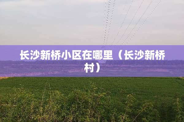 长沙新桥小区在哪里（长沙新桥村）