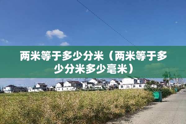两米等于多少分米（两米等于多少分米多少毫米）