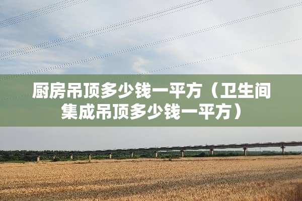 厨房吊顶多少钱一平方（卫生间集成吊顶多少钱一平方）