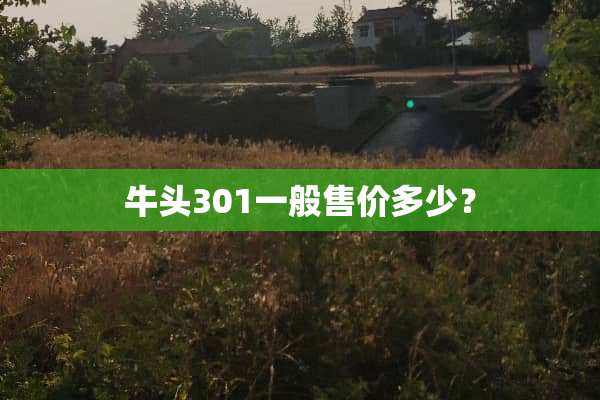 牛头301一般售价多少？