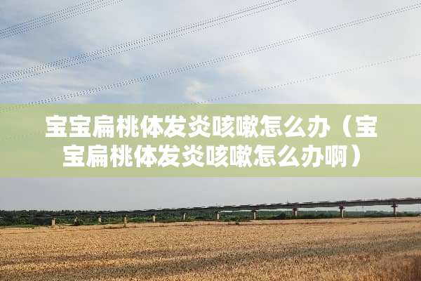 宝宝扁桃体发炎咳嗽怎么办（宝宝扁桃体发炎咳嗽怎么办啊）