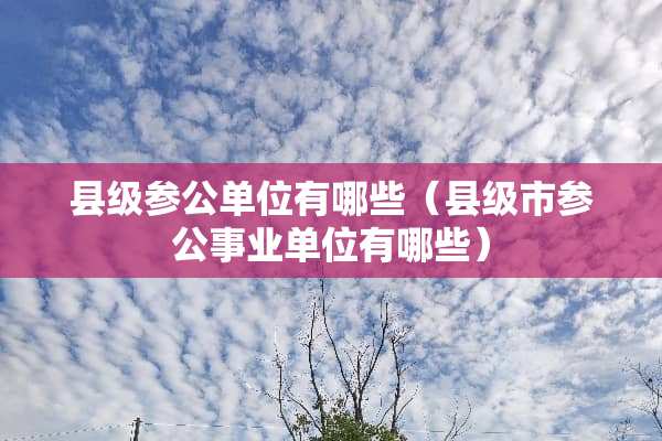 县级参公单位有哪些（县级市参公事业单位有哪些）