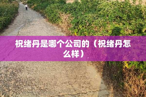 祝绪丹是哪个公司的（祝绪丹怎么样）