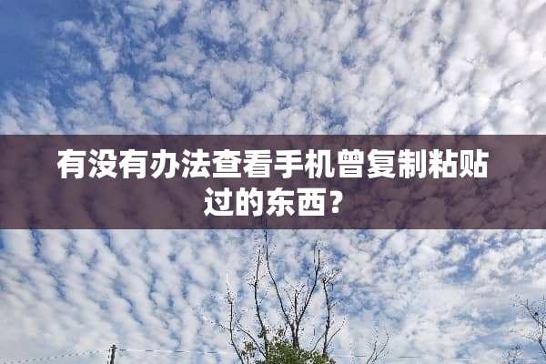 有没有办法查看手机曾复制粘贴过的东西？