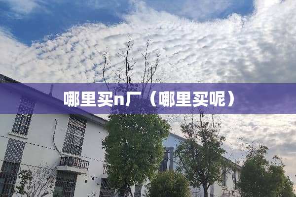 哪里买n厂（哪里买呢）