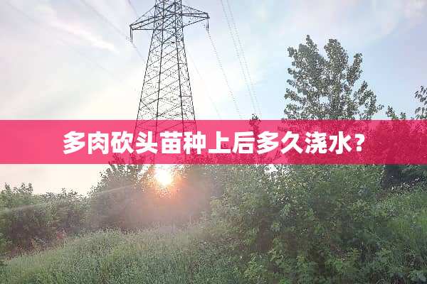 多肉砍头苗种上后多久浇水？