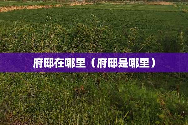 府邸在哪里（府邸是哪里）