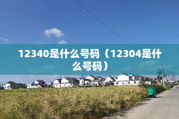 12340是什么号码（12304是什么号码）