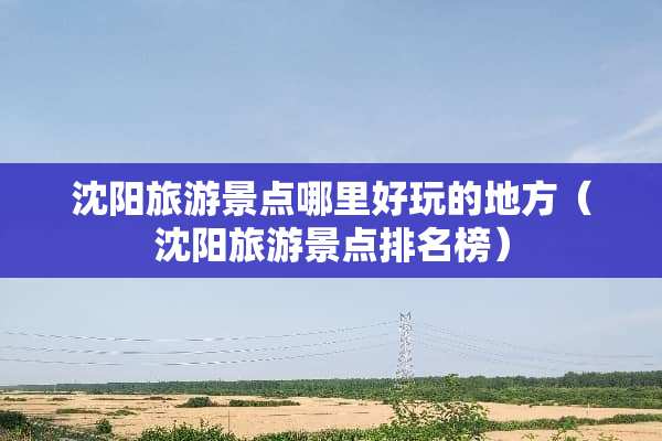 沈阳旅游景点哪里好玩的地方（沈阳旅游景点排名榜）
