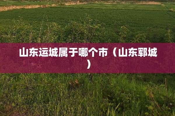 山东运城属于哪个市（山东郓城）