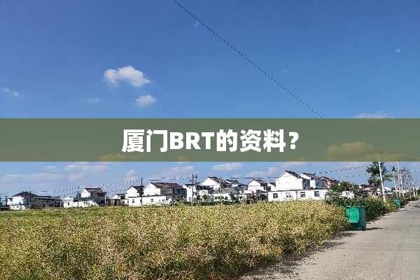 厦门BRT的资料？