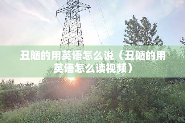 丑陋的用英语怎么说（丑陋的用英语怎么读视频）