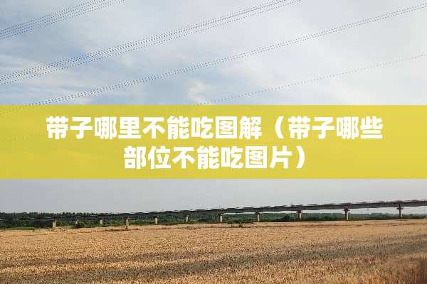 带子哪里不能吃图解（带子哪些部位不能吃图片）