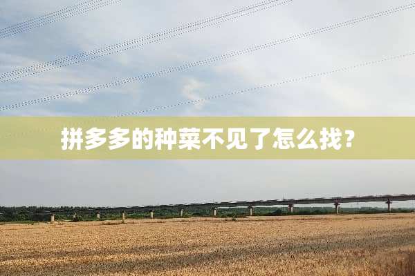 拼多多的种菜不见了怎么找？