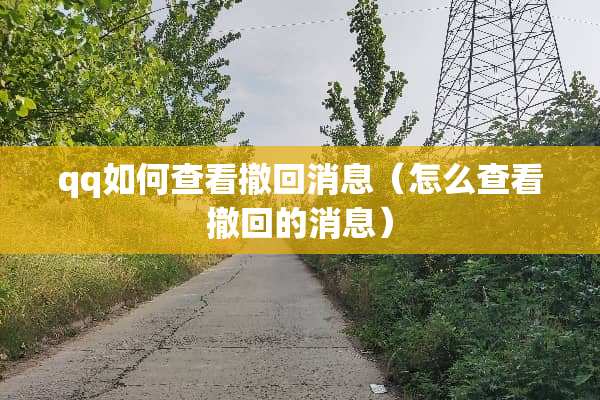 qq如何查看撤回消息（怎么查看撤回的消息）