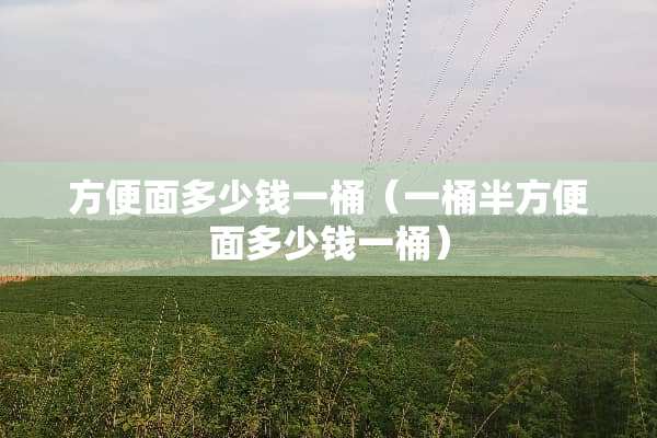 方便面多少钱一桶（一桶半方便面多少钱一桶）