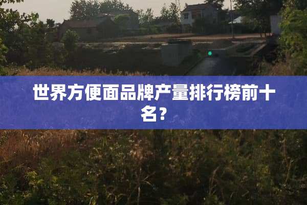 世界方便面品牌产量排行榜前十名？