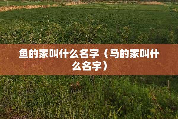 鱼的家叫什么名字（马的家叫什么名字）