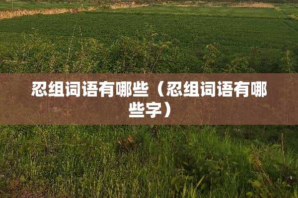 忍组词语有哪些（忍组词语有哪些字）