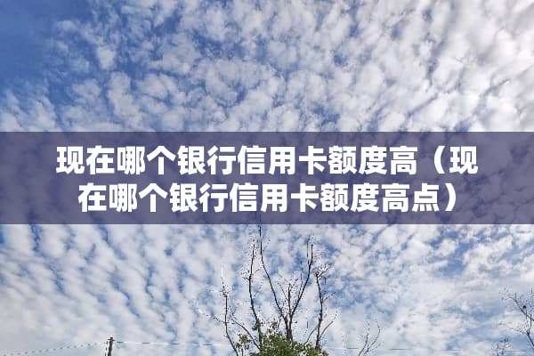 现在哪个银行***额度高（现在哪个银行***额度高点）