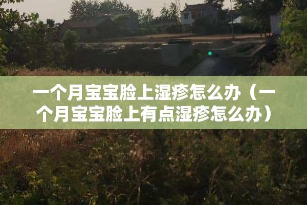一个月宝宝脸上湿疹怎么办（一个月宝宝脸上有点湿疹怎么办）