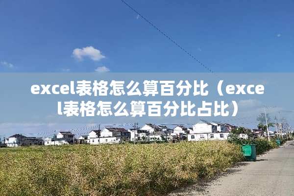 excel表格怎么算百分比（excel表格怎么算百分比占比）