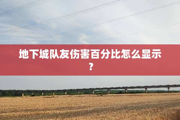 **城队友伤害百分比怎么显示？