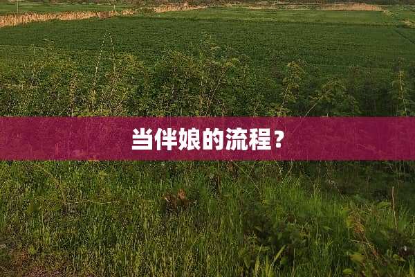 当伴娘的流程？