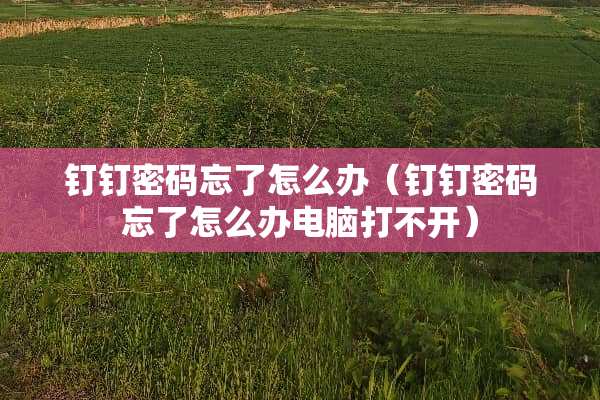 钉钉密码忘了怎么办（钉钉密码忘了怎么办电脑打不开）
