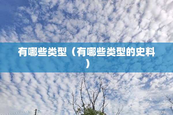 有哪些类型（有哪些类型的史料）