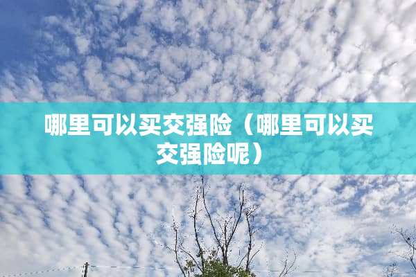 哪里可以买交强险（哪里可以买交强险呢）