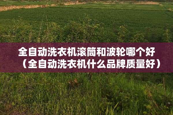 全自动洗衣机滚筒和波轮哪个好（全自动洗衣机什么品牌质量好）