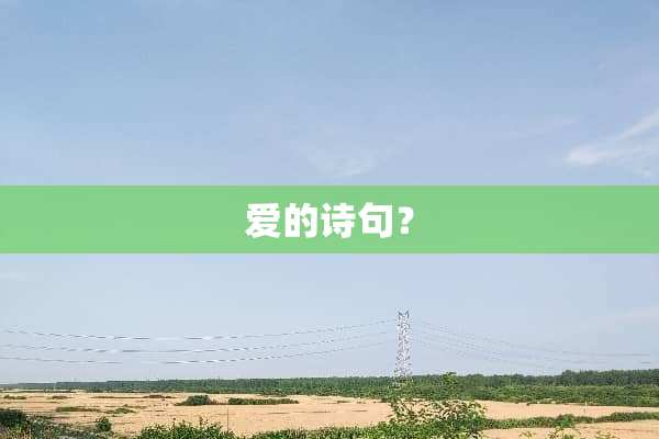 爱的诗句？