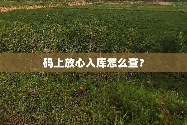 码上放心入库怎么查？