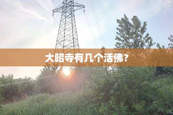 大昭寺有几个**？