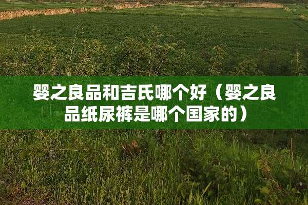 婴之良品和吉氏哪个好（婴之良品纸尿裤是哪个国家的）