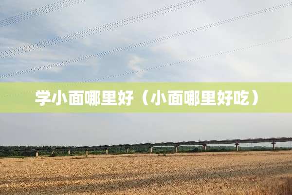 学小面哪里好（小面哪里好吃）