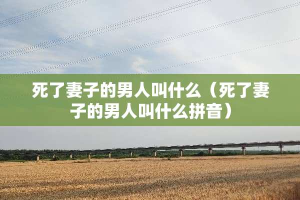 死了妻子的男人叫什么（死了妻子的男人叫什么拼音）