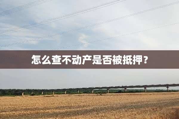 怎么查不动产是否被抵押？